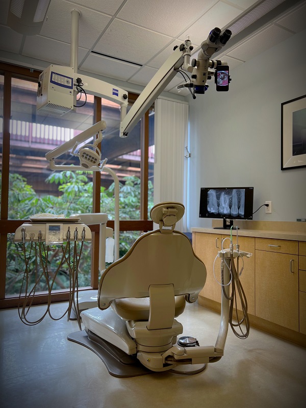 Dental chair back view