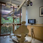 Dental chair back view