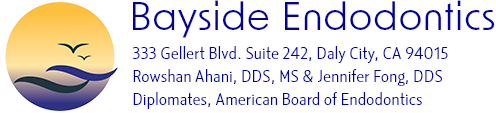 Link to Bayside Endodontics home page